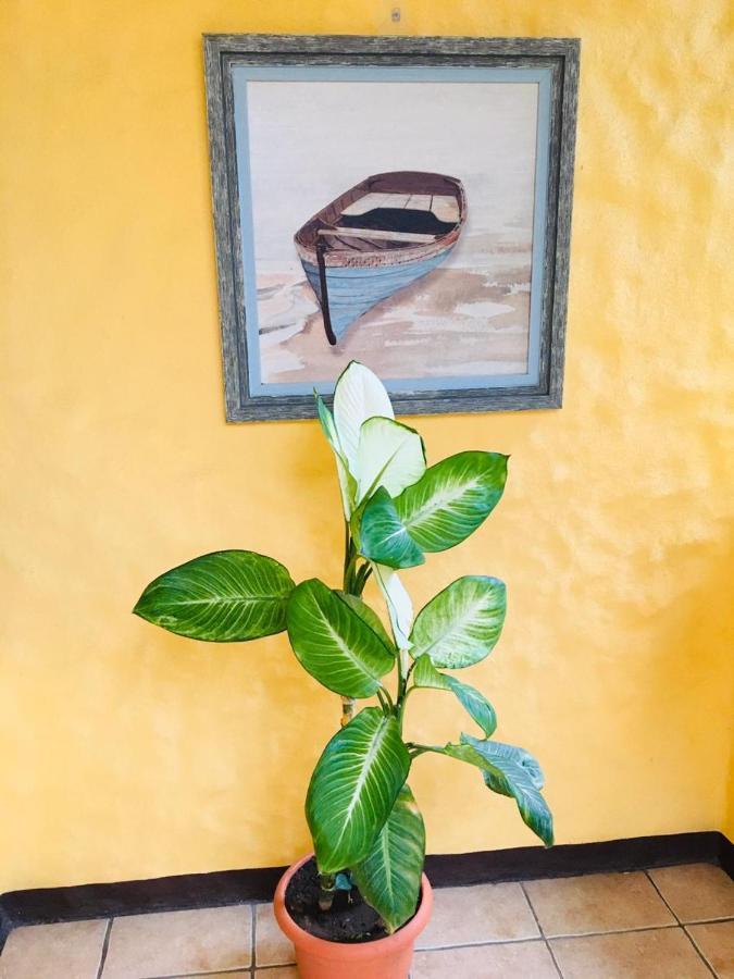 Hotel Casa Esmeralda Sámara 外观 照片